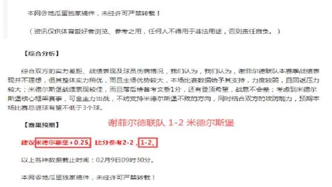 墨尔本城对阵阿德莱德联赛事分析